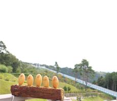 写真：写真：展望デッキから見たkicoro（キコロ）と吊橋