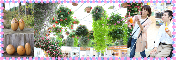 写真：（左から）散策路のkicoro、スカイガーデンの天井から吊らされている花々、人参ジュースを飲む二人の編集部員