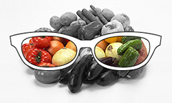 写真：全色盲の人が色覚補正メガネ越しに果物の色が分かる様子