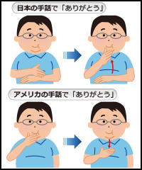 イラスト：上は日本の手話で「ありがとう」、下はアメリカの手話で「ありがとう」