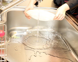 写真：スタッフがお皿を洗っている様子