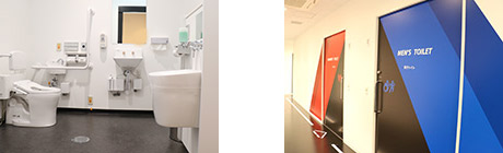 写真：左側の写真は多目的トイレ、右側の写真は男女で扉の色が違うトイレの模様