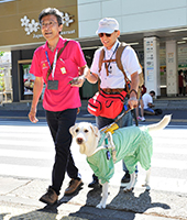 画像：盲導犬と歩く視覚障がい者に腕を貸してサポートしている様子