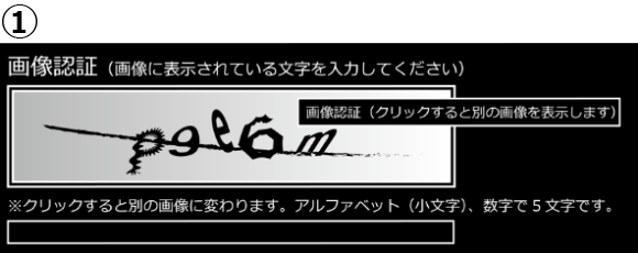 イラスト：①表示された文字を入力するタイプのCAPTCHA画像、画像認証画面（画像に表示されている文字を入力してください)と案内、枠内に入力する文字列「p9e6m」、それにかかるように画像認証(クリックすると別の画像を表示します)と案内、枠の直下に「※クリックすると別の画面に変わります。アルファベット(小文字)、数字で5文字です。」、その直下に入力フィールドがある