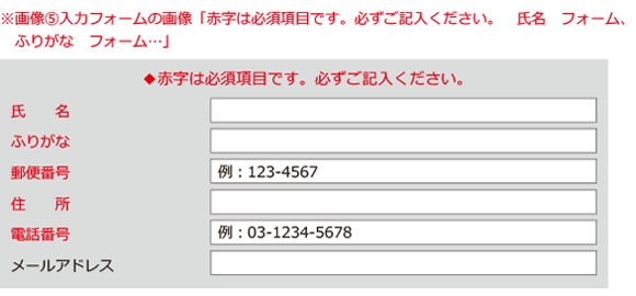 イラスト：必須の入力部分が赤字で全て表記されている