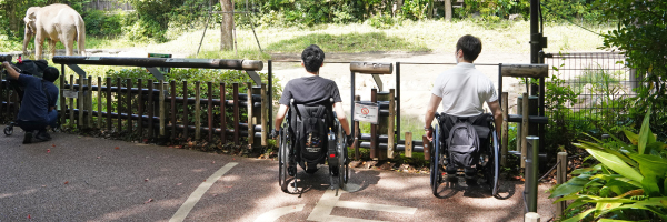 写真：編集部員の2人がガラス張りのフェンスからインドゾウを見ている