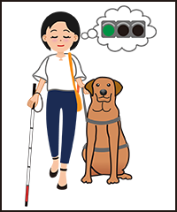 イラスト：視覚障がいの女性が、盲導犬の横に立って青信号を思い浮かべている。