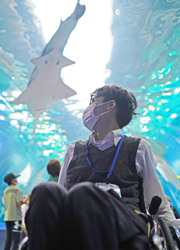 写真：水槽トンネルでサメを見上げる編集部員
