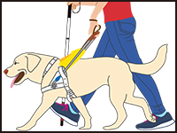 イラスト：リードを付けた盲導犬と視覚に障がいのある人が並んで歩いている