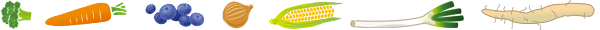 イラスト：ブロッコリー、ニンジン、ブルーベリー、タマネギ、トウモロコシ、ネギ、ジネンジョが横一列に並んでいる