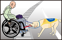 イラスト：介助犬に車いすを引っ張られている車いすユーザの男性