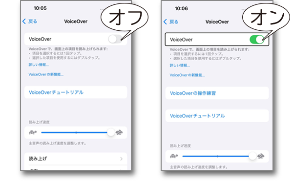 イラスト：Voice Over　の設定画面のスクリーンショット