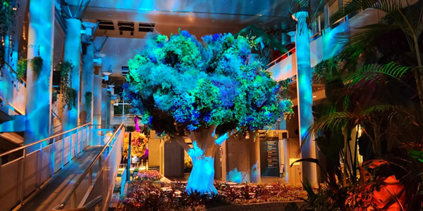 写真：照明に照らされている夜間のミラクルツリー