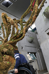 写真：苔が特徴的なアートの大木を眺めている編集部員