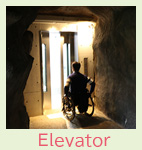 写真：ボタニカミュージアムの門前