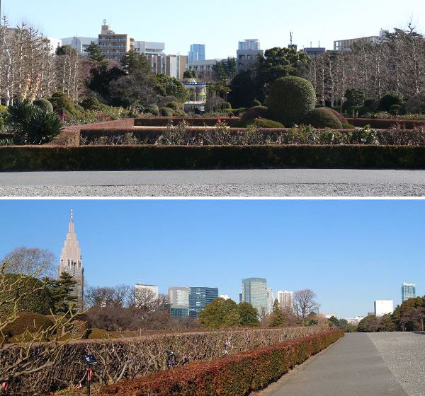 写真：正面から見たバラ花壇と横の舗装された通路