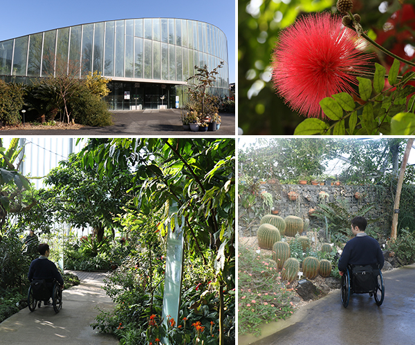 写真：正面から見たバラ花壇と横の舗装された通路