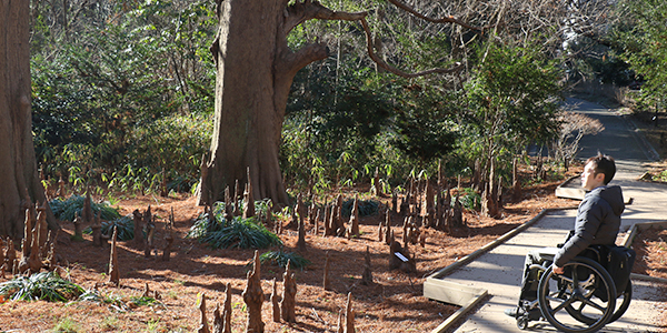 写真：落羽松の幹の下部を眺める編集部員