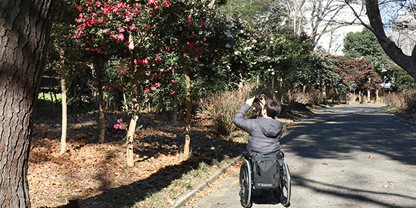 写真：山茶花の写真を撮る編集部員