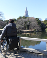 写真：日本庭園の橋の上から池の中を覗き込んでいる編集部員